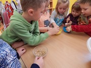 Pečeme ve školce - od zrníčka po rohlík